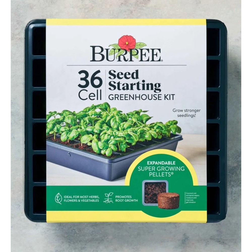 Seedling planters w/o dirt